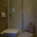 Dworek Na Rowni * ザコパネ