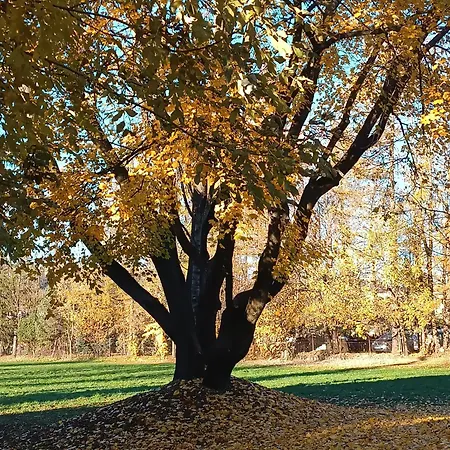 홈스테이 Dworek Na Rowni 자코파네