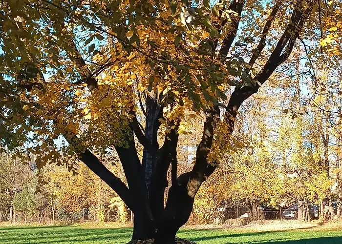 Accommodatie bij particulieren Dworek Na Rowni Zakopane